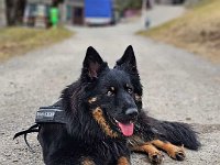Okami  Bes.: Sändy Rechsteiner